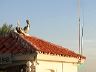 dscn0205