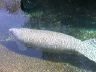 dscn0225