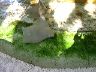 dscn0244