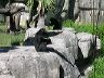 dscn0250