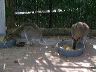 dscn0254