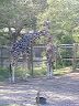 dscn0256