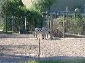 dscn0257
