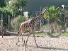 dscn0258