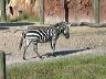 dscn0259