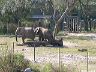 dscn0262