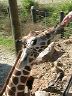 dscn0265