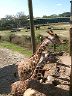 dscn0267