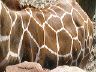 dscn0275