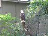 dscn0277