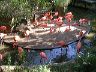 dscn0278
