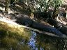 dscn0285