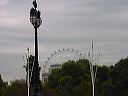 dsc00012