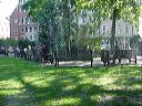 dsc00039