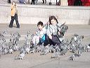 dsc00060