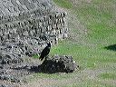 dsc00061