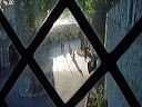 dsc00087_1