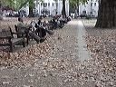 dsc00094