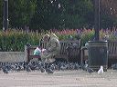 dsc00105