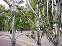 dsc00126