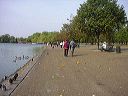dsc00132_1
