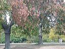 dsc00142_1