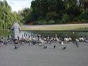 dsc00149