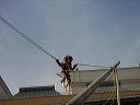 dsc00196_1