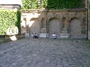 dscn2239