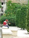 dscn2465