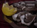 dsc00117