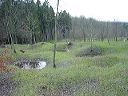 dsc00054