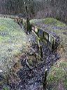 dsc00074