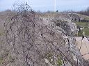 dsc00080