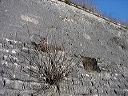 dsc00108