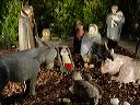 dsc00186