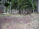 dsc00202