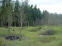 dsc00203