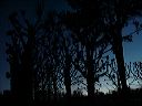 dsc00243