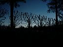 dsc00244