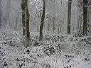 dsc00118