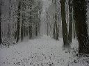 dsc00119
