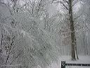 dsc00120