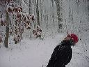 dsc00123