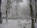 dsc00124