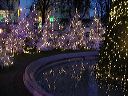 dsc00284