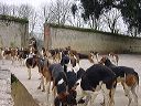 dsc00368