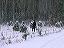 dscn0348